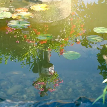 Casa Ananda Albrechtshohe