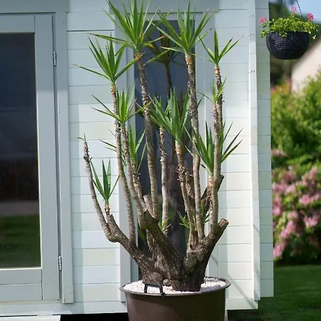 Casa Ananda Feriehus *