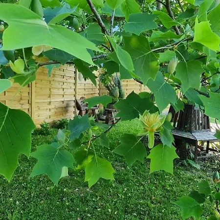 Casa Ananda Vakantiehuis *