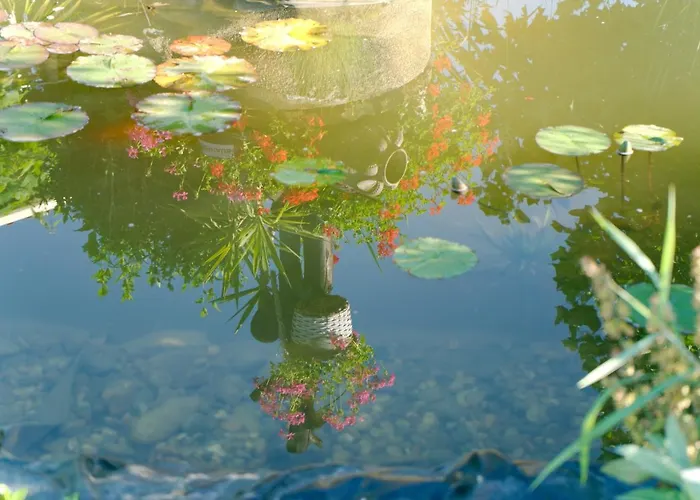 Casa Ananda Albrechtshohe