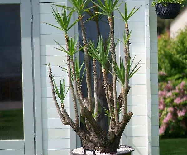 Casa Ananda Сasa de vacaciones *