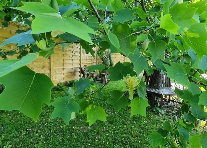 Casa Ananda Vakantiehuis *