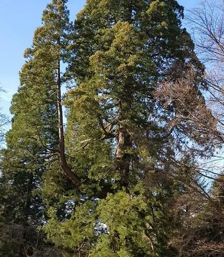 Casa Ananda * Albrechtshohe